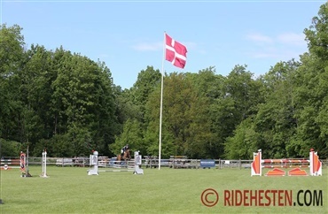 Mustang Cup i Bernstorffsparken var en succes