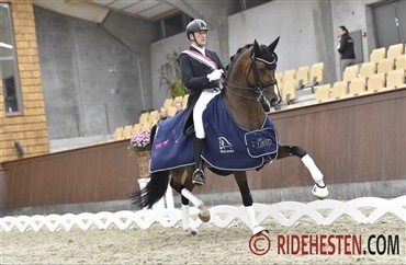 Ny dato for championatsfinalerne i dressur
