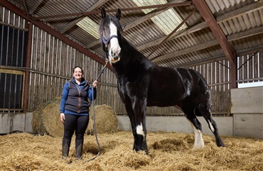 146 cm mellem verdensrekordhestene