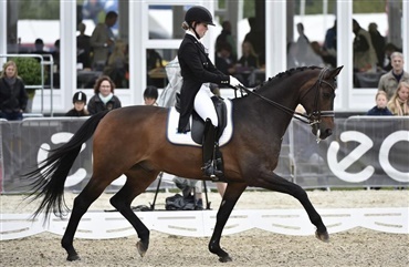 Svensk mesterskab med DV-heste i top