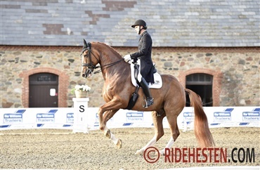 Ny rytter til Blue Hors Zepter