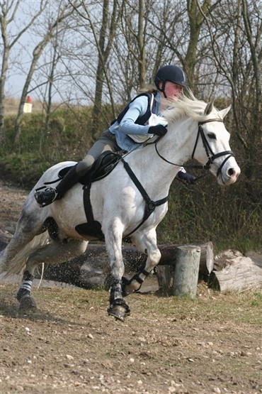 Military cup for alle ponykategorier