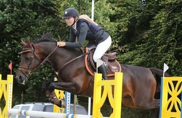 Indend&oslash;rs DM for pony og children