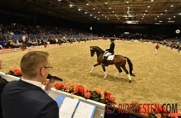 Der udtages stadig auktionsheste til Herning