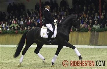 Schockemöhle forst&aelig;rker kollektionen 