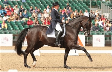 Kyra pensionerer Max