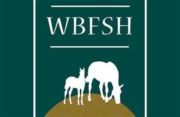 S&aring; er WBFSH ranglisterne online