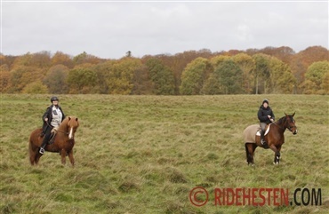 Bedre rideforhold i naturen med nyt projekt
