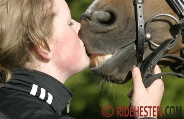 15 tegn p&aring;, at du er afh&aelig;ngig af heste