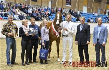 Finale med fem guldmedaljehopper