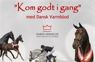 Kom godt i gang med Dansk Varmblod