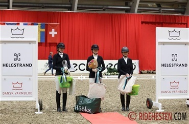 Amat&oslash;rryttere leverede flot ridning i Herning