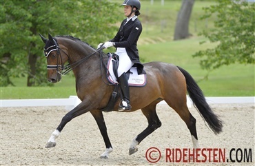 Militaryhest stiler mod DM i dressur