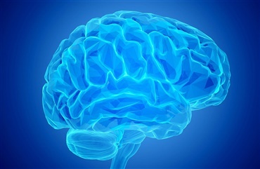 Hjernerystelse - &oslash;get risiko for demens og Parkinsons sygdom