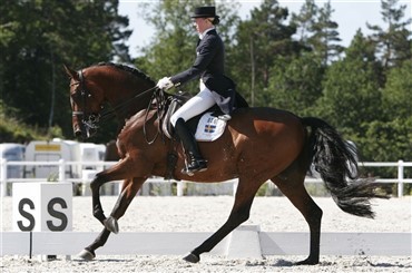 Svensk GP-sejr p&aring; dansk hest