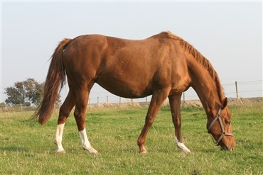 Se det uf&oslash;dte f&oslash;ls udvikling - i billeder