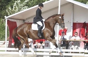 Bed&oslash;mmelse af ridelighed