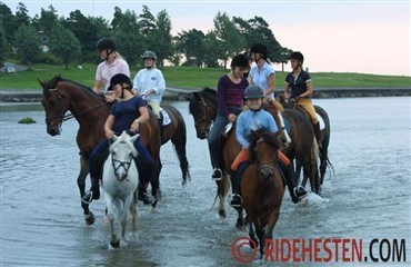 Virtuel v&aelig;rkt&oslash;jskasse til frivillige