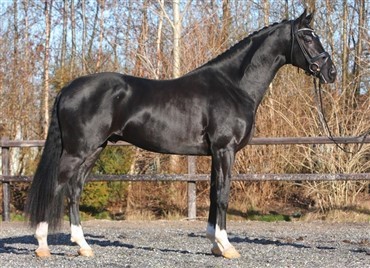 N&aring;r bed&aelig;kningss&aelig;sonen st&aring;r for d&oslash;ren