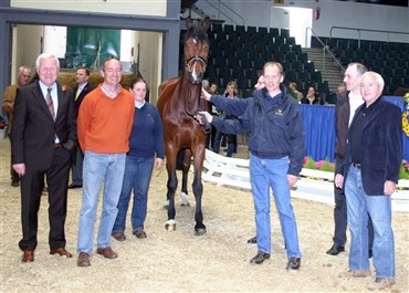 Danskavlet hest topper p&aring; tysk auktion