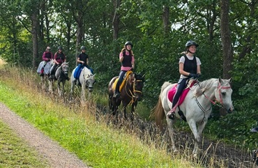 Vellykket distanceridelejr i Hedeland