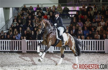 Unge hingste og st&aelig;rke profiler hos Helgstrand Dressage