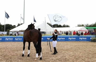 Det gik over al forventning (video)