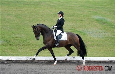 &Aring;rets sidste championatskvalifikationer