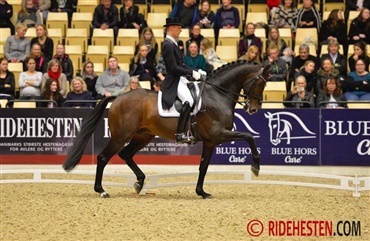 Daniel Bachmann Andersen i toppen
