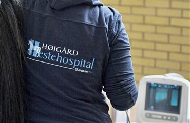 H&oslash;jg&aring;rd udvider med hesteklinik p&aring; Mors 