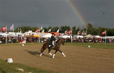 Hj&oslash;rring Dyrskue 2008