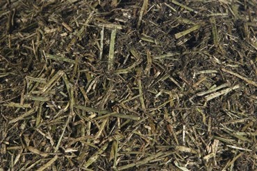 Lucerneh&oslash; - godt til pr&aelig;stationsheste