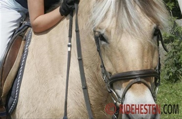 Tip: Bliv popul&aelig;r p&aring; den gode m&aring;de