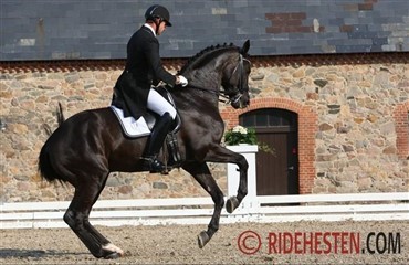 Aston Martin til Helene Melsen
