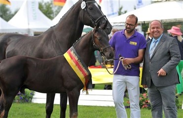 Tysk hoppe- og f&oslash;lchampionat i Lienen