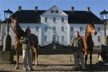 Godsophold for heste