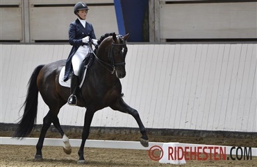 Sir Donnerhall II vinder World Cup