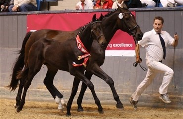 Dancing Boy p&aring; TV