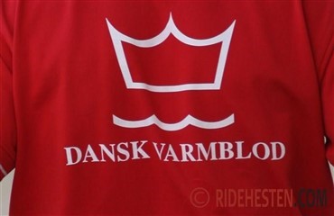 Generalforsamling i DV region 1