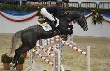 Dansk hest solgt p&aring; auktion i Holsten