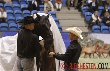 Clinic med Will Rogers