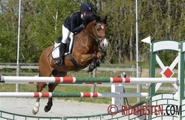 To ponylandsst&aelig;vner i weekenden