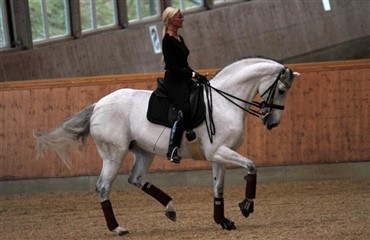 Donna Silver hjemme hos Silvia Rizzo