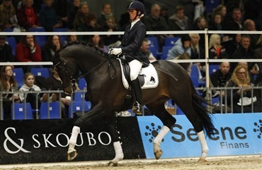 Hingsteshow i Sverige