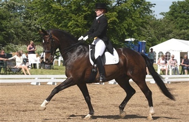 U25 klasses ved 2010 CDIO Aachen
