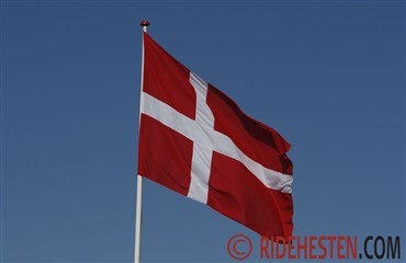 Springning i Vejle