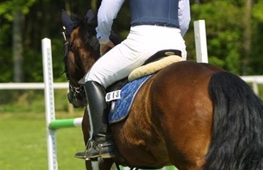 Nord-Vestbox Cup i Nyk&oslash;bing Falster Rideklub