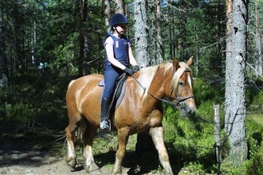 400.000 til naturprojekter