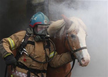Beredskabsplan for landbrug