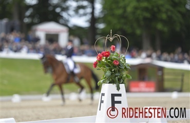 Hun laver musik til toppen